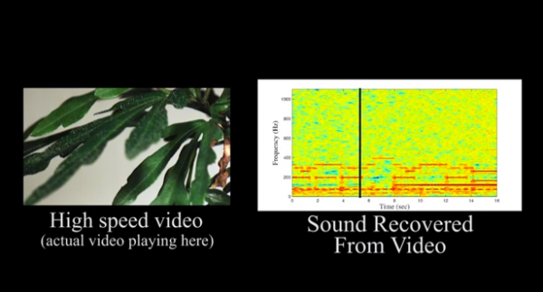 Analiza fal dźwiękowych na podstawie ruchów kwiatka